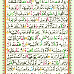 Surah Al Haqqah 69 Page 514