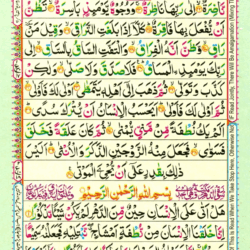 Surah Al Insan 76 Page 525
