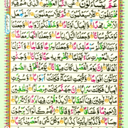 Surah An Naba 78 Page 529