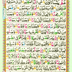 Surah An Naba 78 Page 529